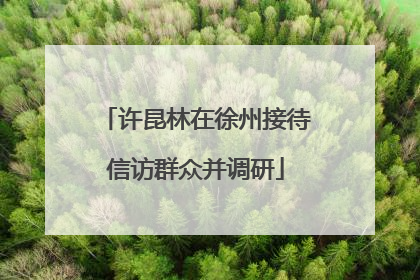 许昆林在徐州接待信访群众并调研