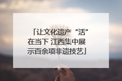 让文化遗产“活”在当下 江西集中展示百余项非遗技艺