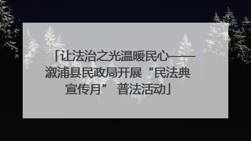让法治之光温暖民心——溆浦县民政局开展“民法典宣传月” 普法活动