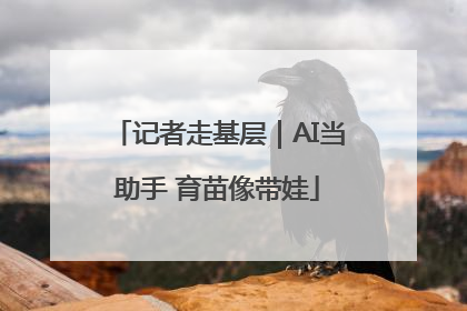 记者走基层｜AI当助手 育苗像带娃