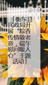 衡东县民政局开展“粽香传情敬老意，端午慰问暖人心”主题活动