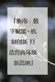 衡南：数字赋能+机制创新 打造营商环境新高地