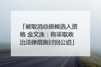 被取消总统候选人资格 金文洙：将采取政治法律措施讨回公道