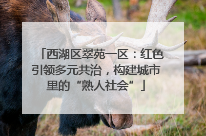 西湖区翠苑一区：红色引领多元共治，构建城市里的“熟人社会”