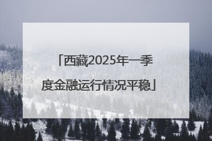 西藏2025年一季度金融运行情况平稳