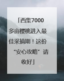 西集7000多亩樱桃进入最佳采摘期！这份“安心攻略”请收好