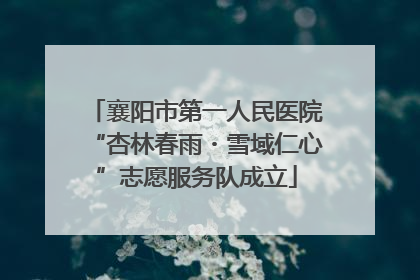 襄阳市第一人民医院“杏林春雨・雪域仁心”志愿服务队成立