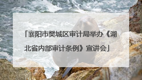 襄阳市樊城区审计局举办《湖北省内部审计条例》宣讲会