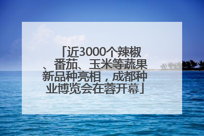 近3000个辣椒、番茄、玉米等蔬果新品种亮相，成都种业博览会在蓉开幕