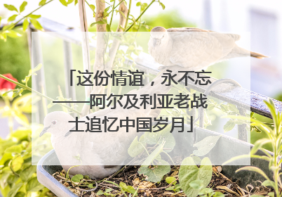这份情谊，永不忘——阿尔及利亚老战士追忆中国岁月