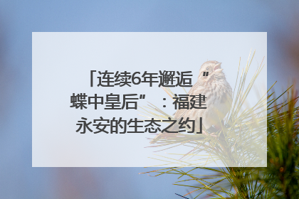 连续6年邂逅“蝶中皇后”：福建永安的生态之约