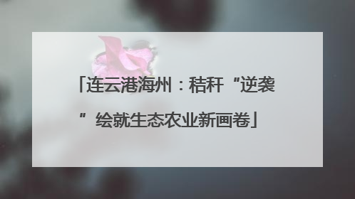 连云港海州：秸秆“逆袭”绘就生态农业新画卷