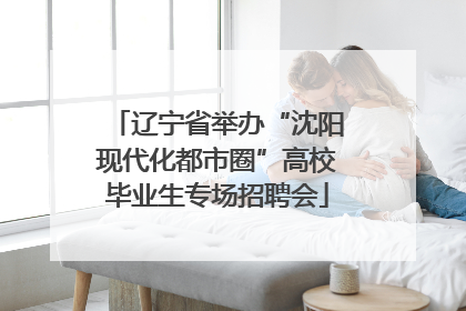 辽宁省举办“沈阳现代化都市圈”高校毕业生专场招聘会