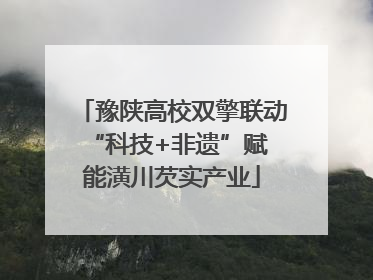 豫陕高校双擎联动 “科技+非遗”赋能潢川芡实产业