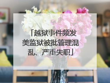 越狱事件频发 美监狱被批管理混乱、严重失职