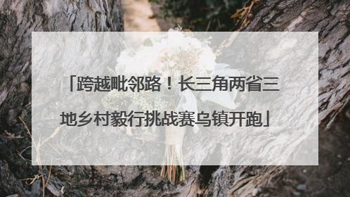 跨越毗邻路！长三角两省三地乡村毅行挑战赛乌镇开跑