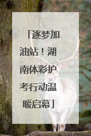 逐梦加油站！湖南体彩护考行动温暖启幕
