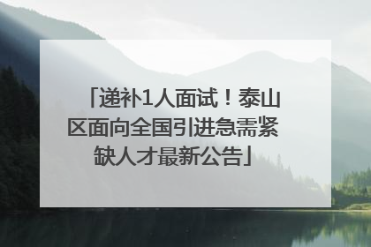 递补1人面试！泰山区面向全国引进急需紧缺人才最新公告