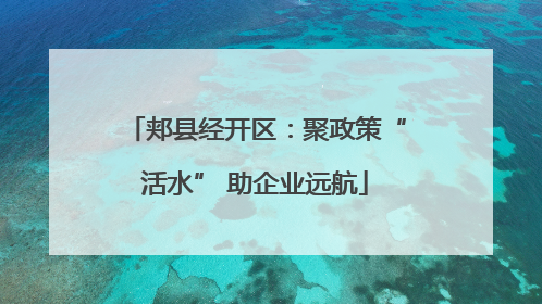 郏县经开区：聚政策“活水” 助企业远航