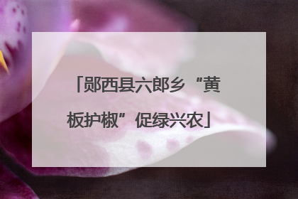 郧西县六郎乡“黄板护椒”促绿兴农
