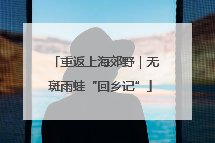 重返上海郊野｜无斑雨蛙“回乡记”