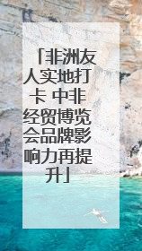 非洲友人实地打卡 中非经贸博览会品牌影响力再提升