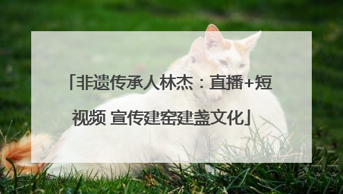 非遗传承人林杰：直播+短视频 宣传建窑建盏文化