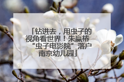 钻进去，用虫子的视角看世界！朱赢椿“虫子电影院”落户南京幼儿园