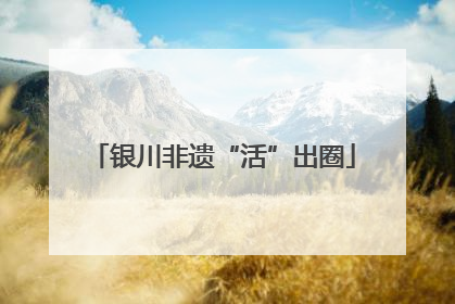 银川非遗“活”出圈