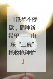 铁犁不停歇，播种新希望——山东“三夏”抢收抢种忙