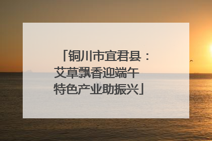 铜川市宜君县：艾草飘香迎端午 特色产业助振兴