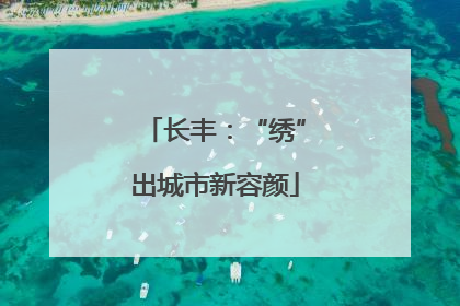 长丰：“绣”出城市新容颜
