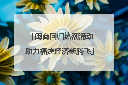 闽商回归热潮涌动 助力福建经济新腾飞