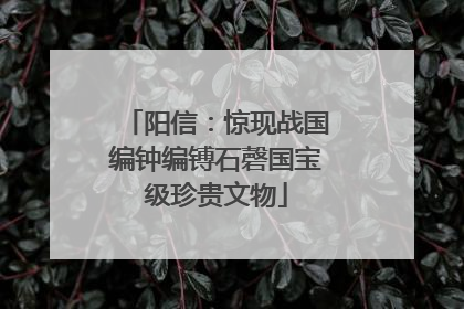阳信：惊现战国编钟编镈石磬国宝级珍贵文物
