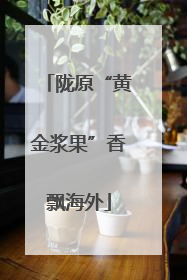 陇原“黄金浆果”香飘海外