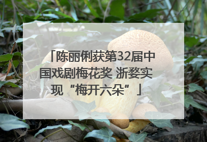 陈丽俐获第32届中国戏剧梅花奖 浙婺实现“梅开六朵”