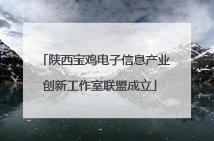 陕西宝鸡电子信息产业创新工作室联盟成立