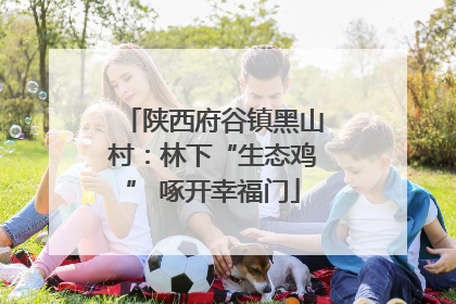 陕西府谷镇黑山村：林下“生态鸡” 啄开幸福门
