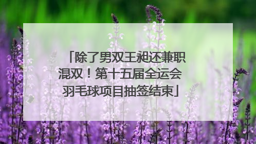 除了男双王昶还兼职混双！第十五届全运会羽毛球项目抽签结束