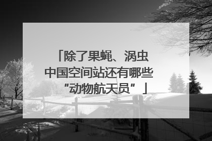 除了果蝇、涡虫 中国空间站还有哪些“动物航天员”