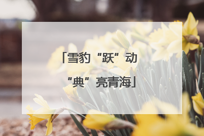 雪豹“跃”动 “典”亮青海