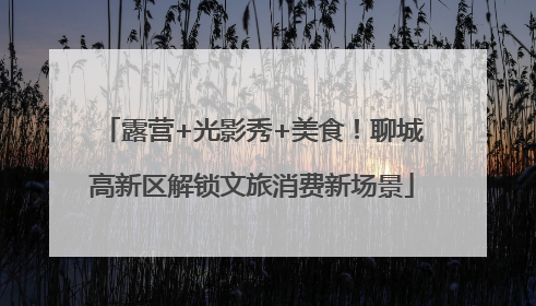 露营+光影秀+美食！聊城高新区解锁文旅消费新场景