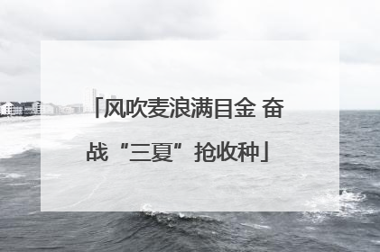 风吹麦浪满目金 奋战“三夏”抢收种