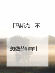 马斯克：不想做替罪羊