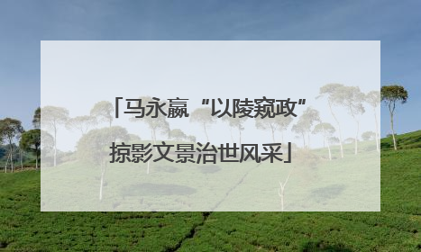 马永嬴“以陵窥政” 掠影文景治世风采