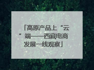 高原产品上“云”端——西藏电商发展一线观察