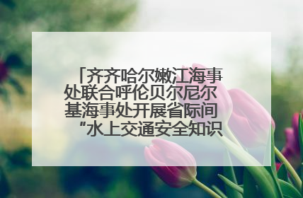 齐齐哈尔嫩江海事处联合呼伦贝尔尼尔基海事处开展省际间“水上交通安全知识进校园”活动