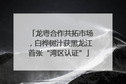 龙粤合作共拓市场，白桦树汁获黑龙江首张“湾区认证”