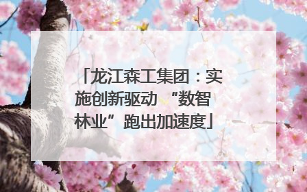 龙江森工集团：实施创新驱动 “数智林业”跑出加速度