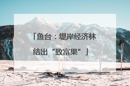 鱼台：堤岸经济林结出“致富果”